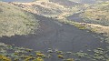 DSCN5204
