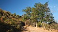 DSCN1660