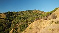 DSCN1663