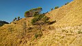 DSCN1664