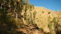 DSCN1669