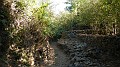 DSCN1674