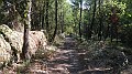 DSCN1675