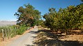 DSCN1679