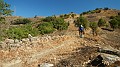 DSCN1681