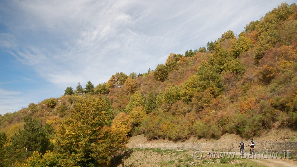 DSCN5619.JPG -                                