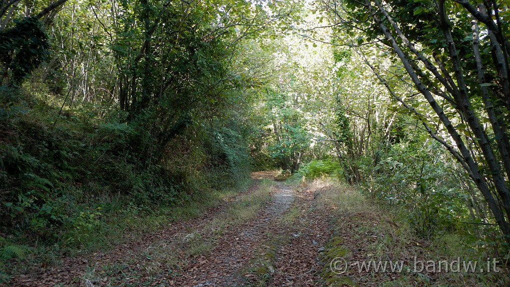 DSCN1840.JPG -                                