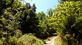 DSCN1721