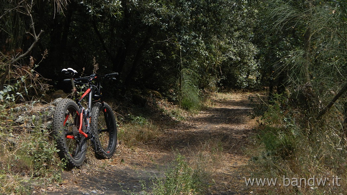 DSCN5093.JPG - Test Cube Nutrail Black'n'flashred