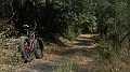 DSCN5093