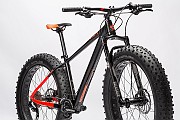 Dettagli fotografici della mia Cube Fat Nutrail Black'n'flashred 2016