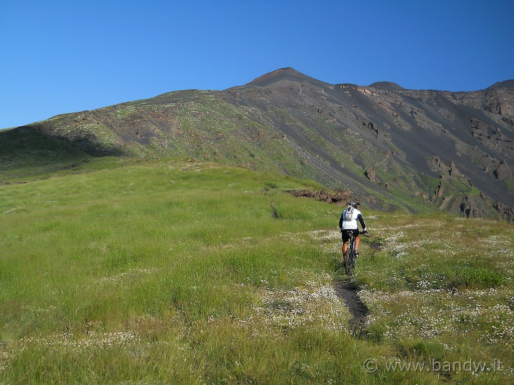 DSCN5397.JPG - Ci facciamo una bel giretto sul crinale