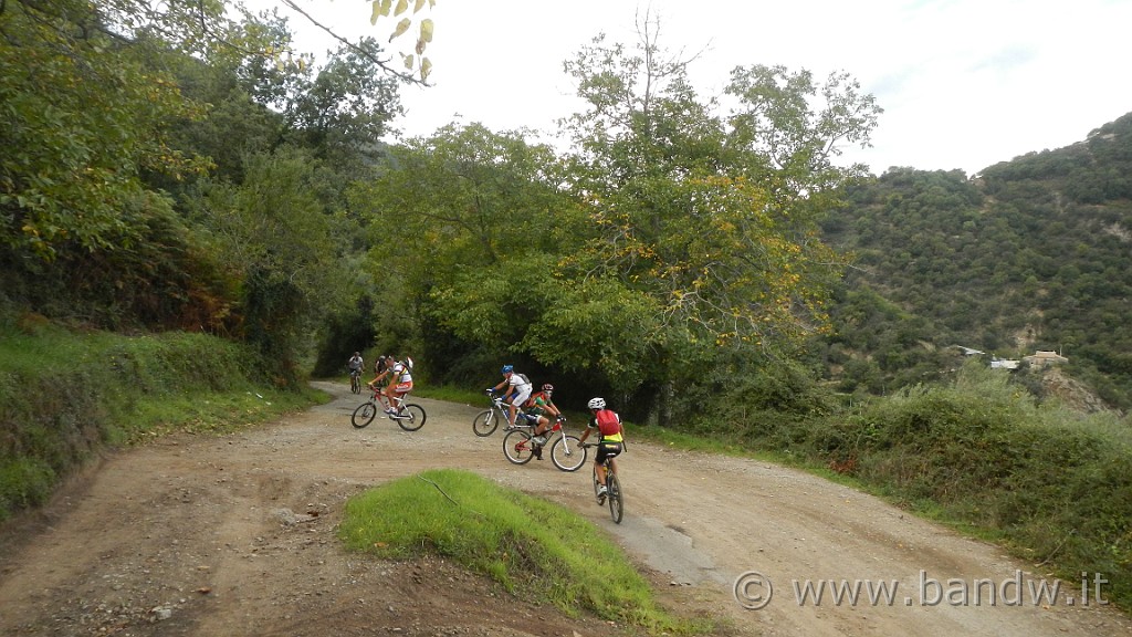 DSCN5181.JPG - Mtb- all mountain Adunanza Longano