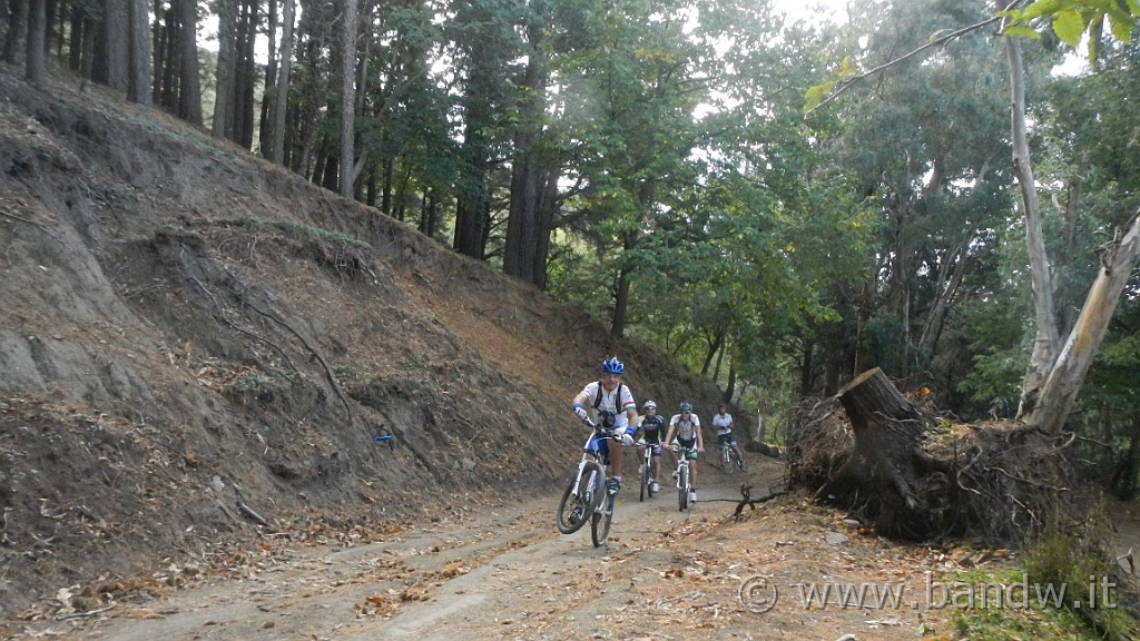 DSCN5195.JPG - Mtb- all mountain Adunanza Longano