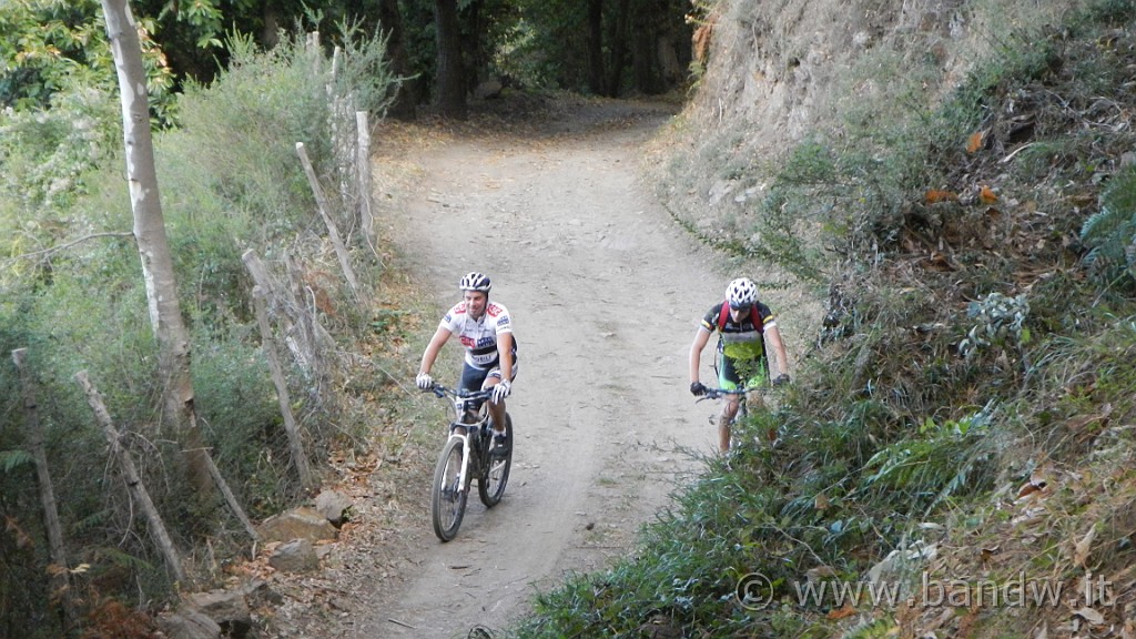 DSCN5199.JPG - Mtb- all mountain Adunanza Longano