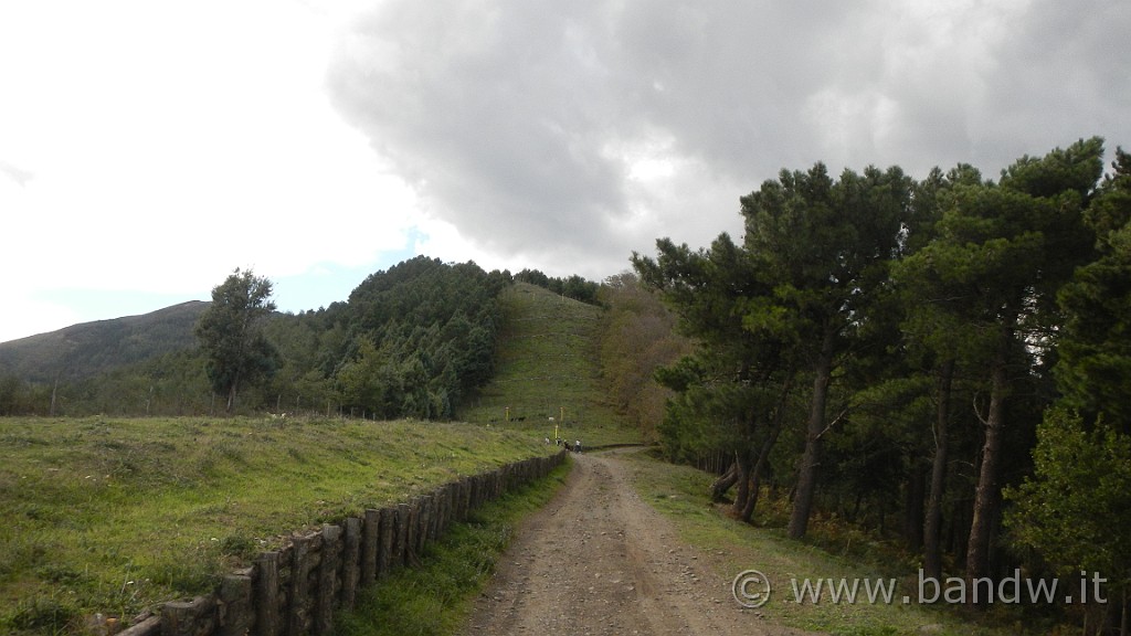 DSCN5200.JPG - Mtb- all mountain Adunanza Longano