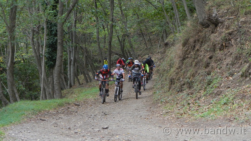 DSCN5229.JPG - Mtb- all mountain Adunanza Longano