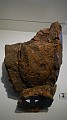DSCN1271