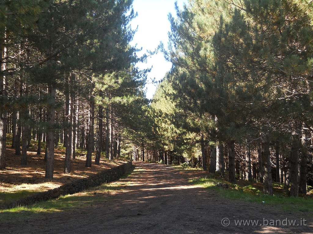 DSCN1408.JPG - Il sentiero che viene dal Rifugio Spagnolo