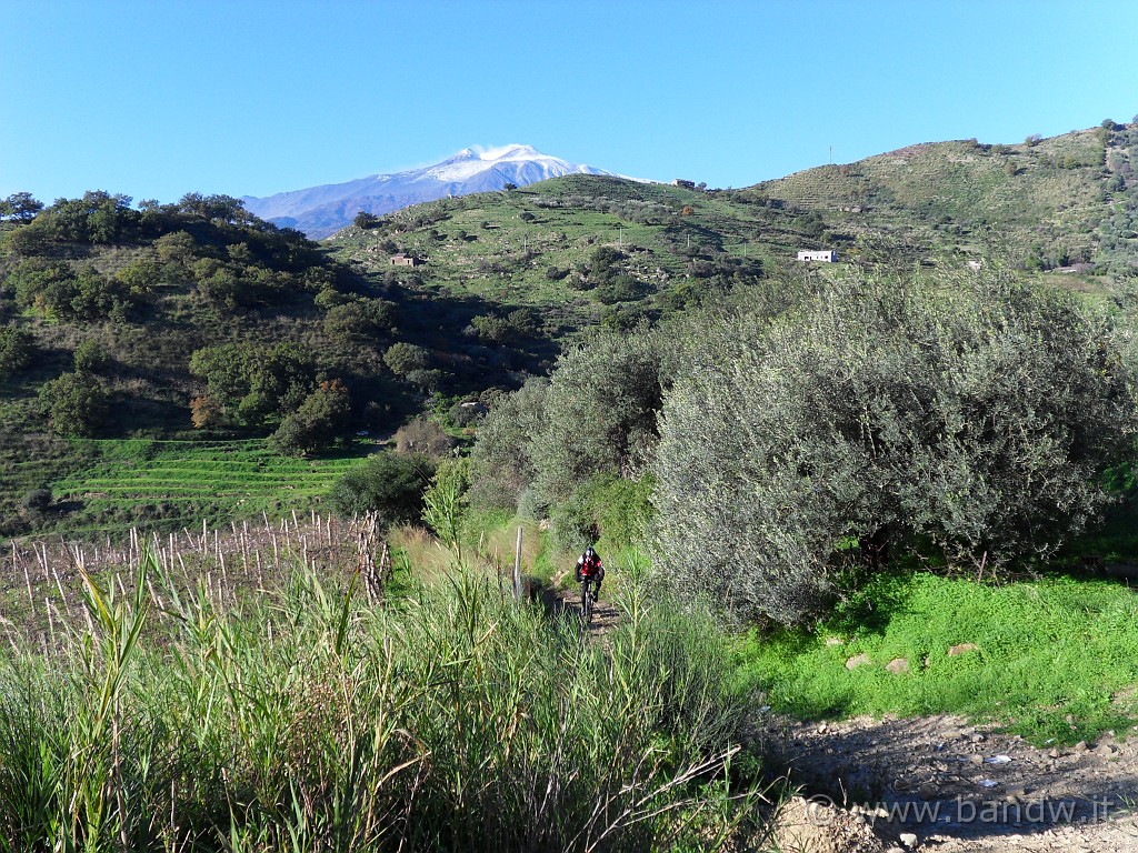 SDC11024.JPG - L'Etna ci osserva sempre da lontano