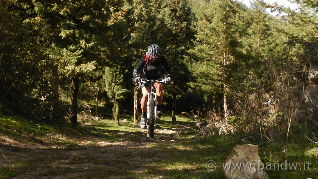 DSCN7794.JPG -                                