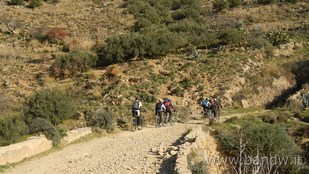 DSCN2699.JPG - Assoro e dintorni