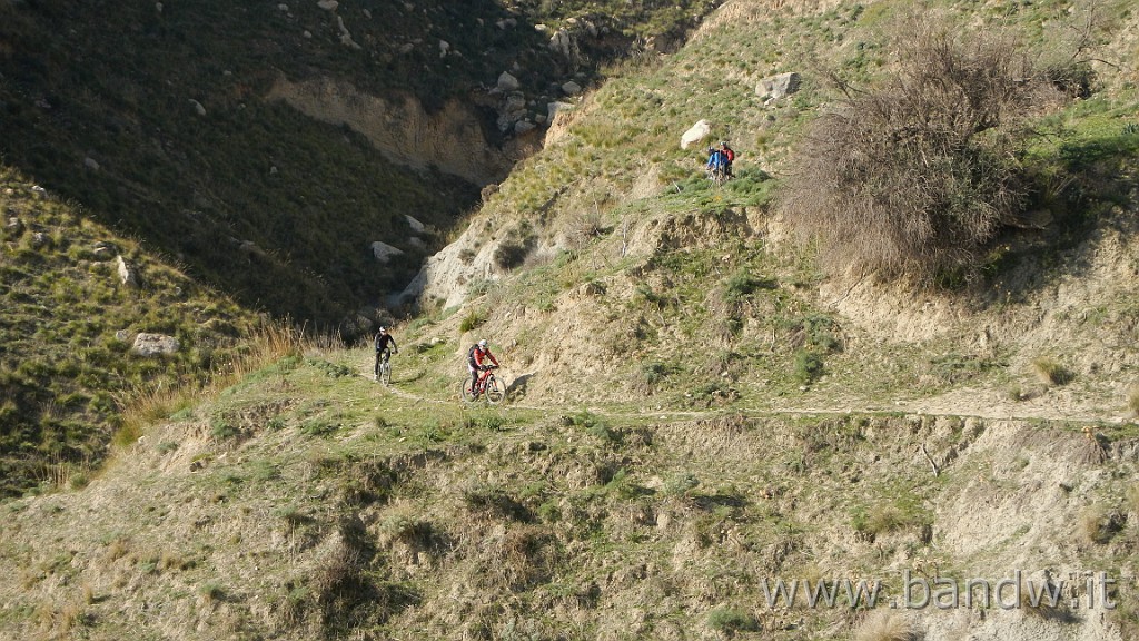 DSCN2726.JPG - Assoro e dintorni