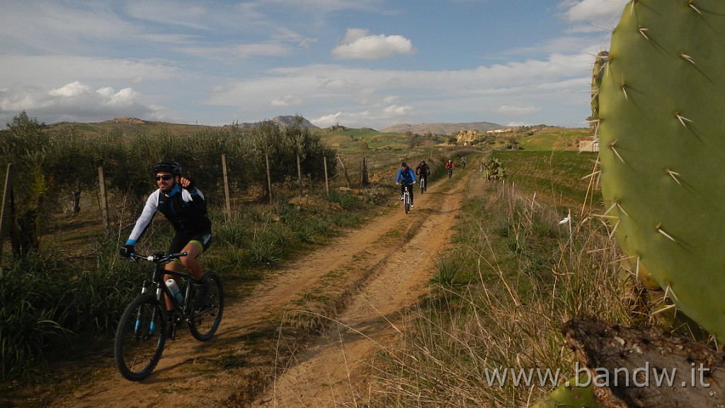 DSCN2780.JPG - Assoro e dintorni