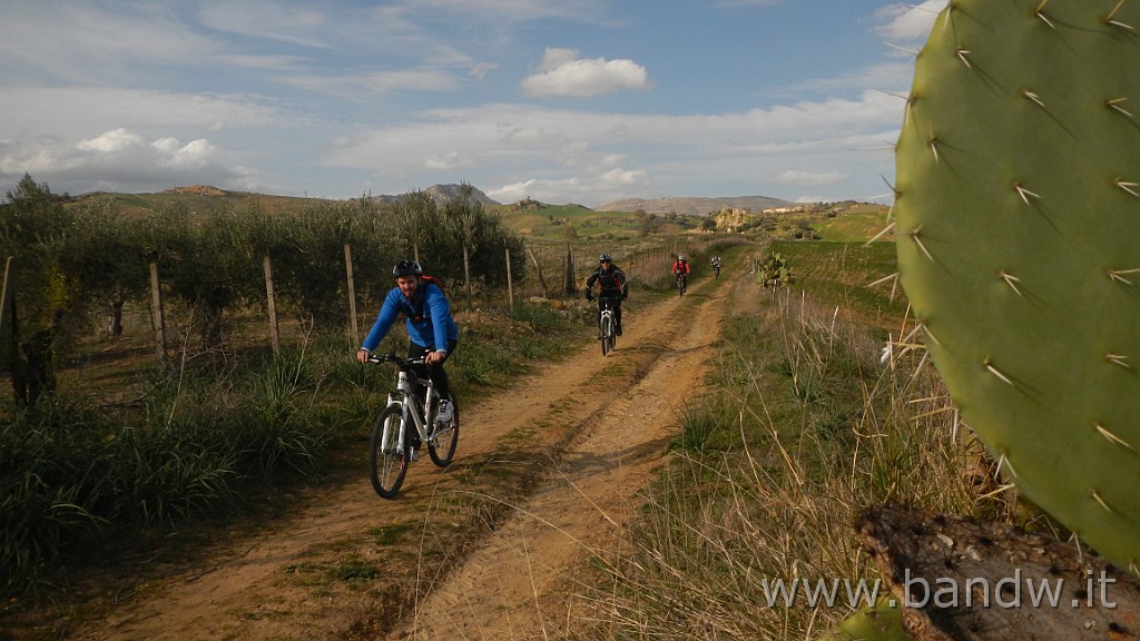 DSCN2782.JPG - Assoro e dintorni