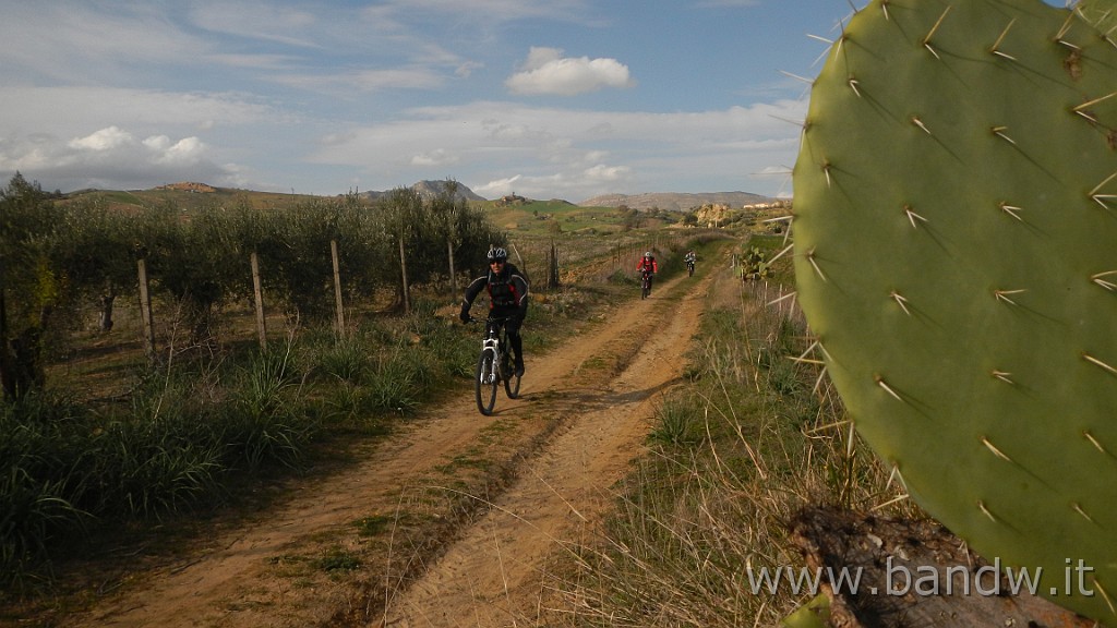 DSCN2783.JPG - Assoro e dintorni