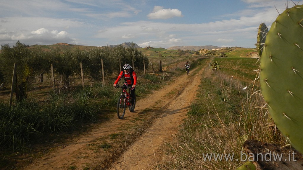 DSCN2787.JPG - Assoro e dintorni