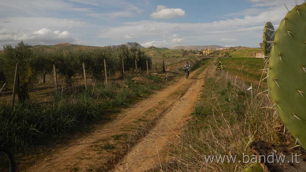 DSCN2788.JPG - Assoro e dintorni