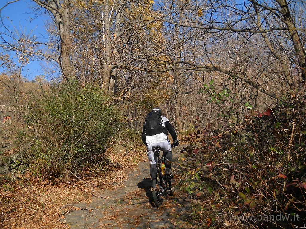 DSCN2631.jpg