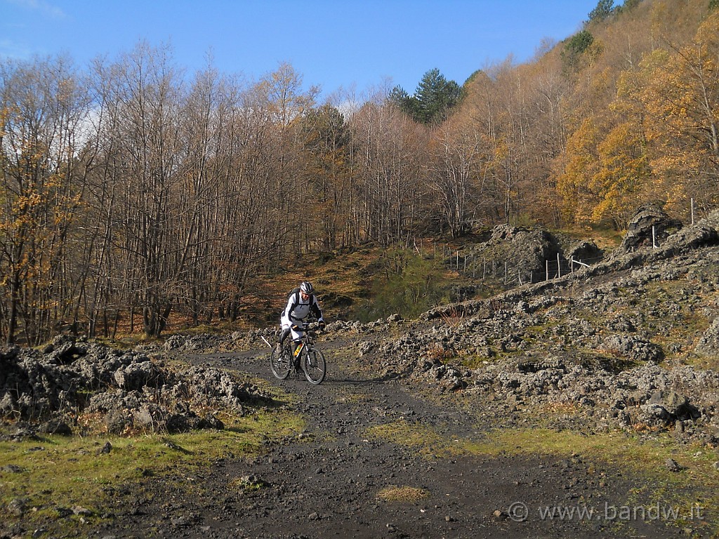 DSCN2634.jpg