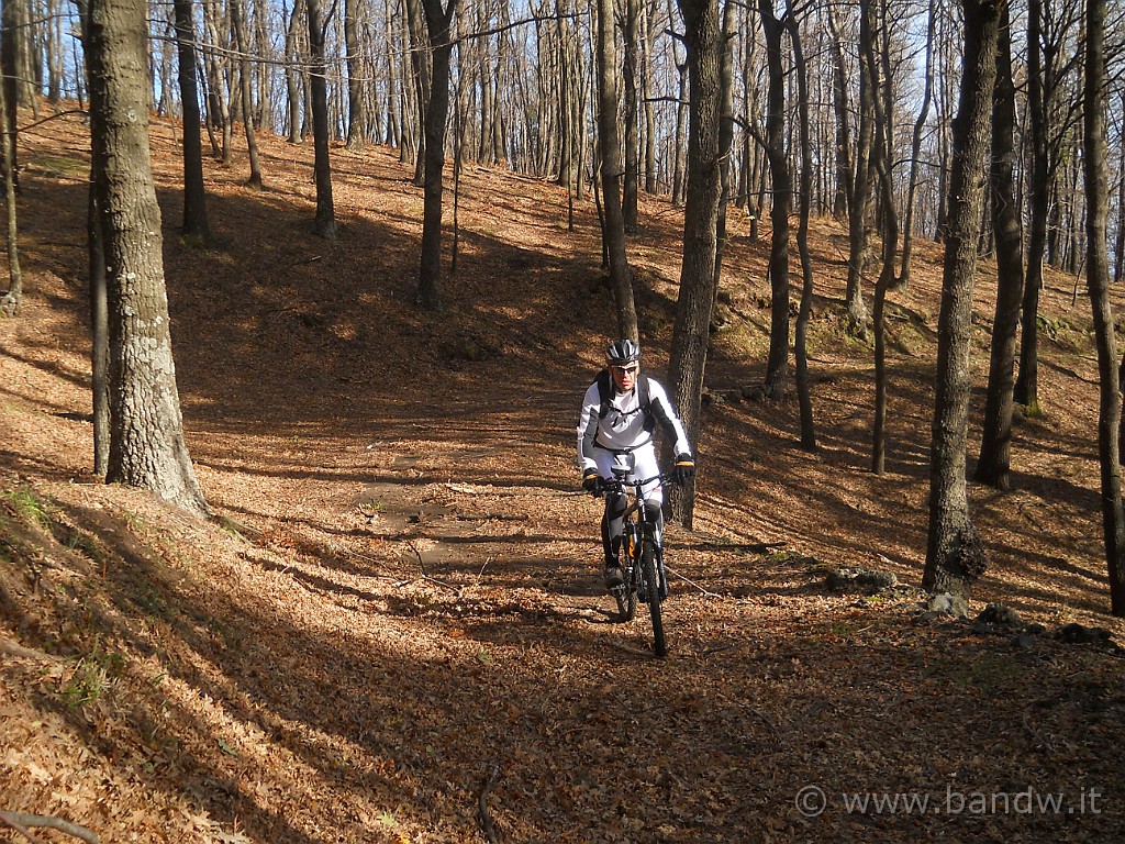 DSCN2642.JPG - In pieno autunno