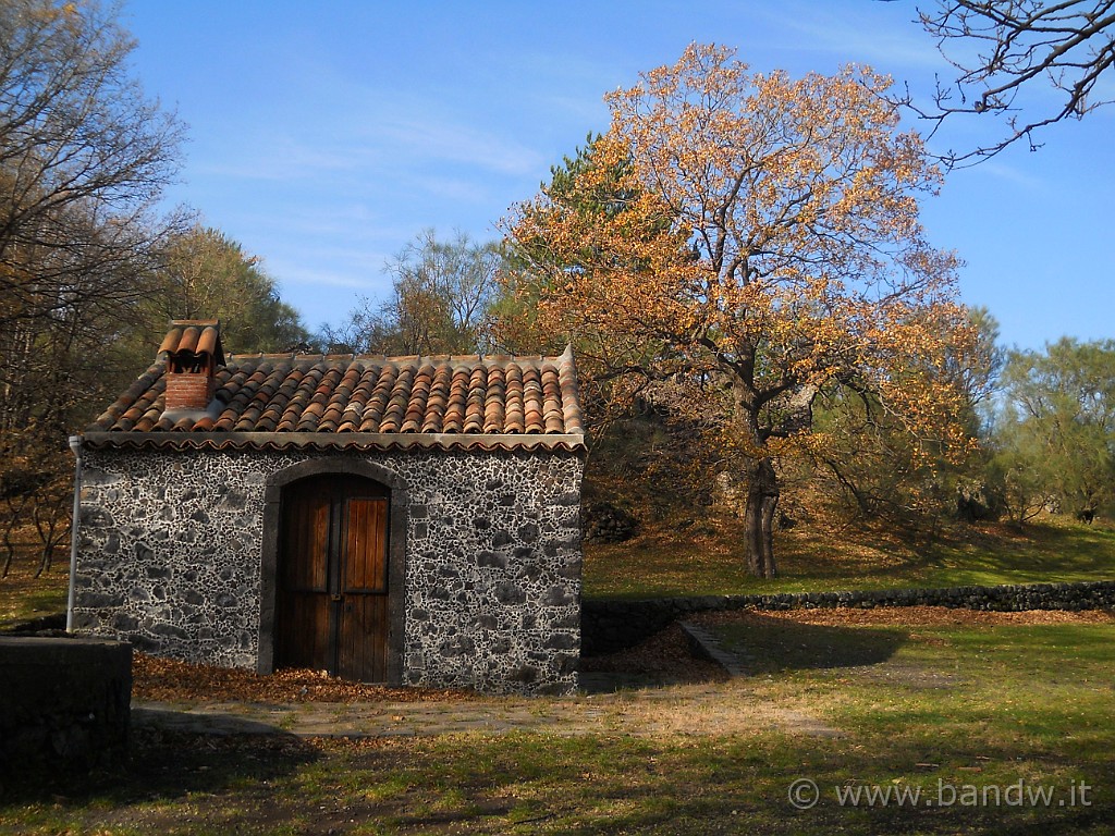 DSCN2645.JPG - Case della Forestale dentro il Bosco della Cerrita