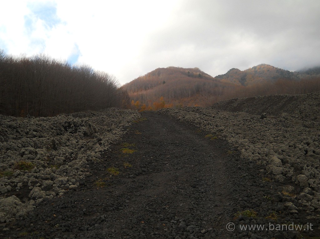 DSCN2659.JPG - La strada appena percorsa