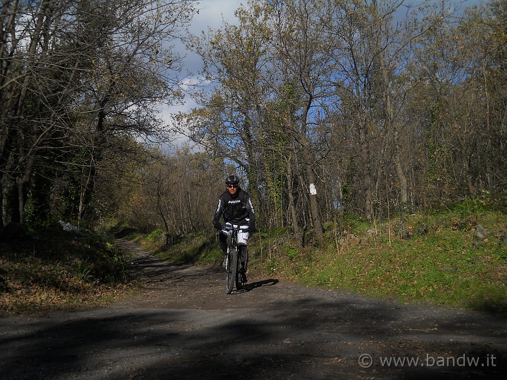 DSCN2663.jpg