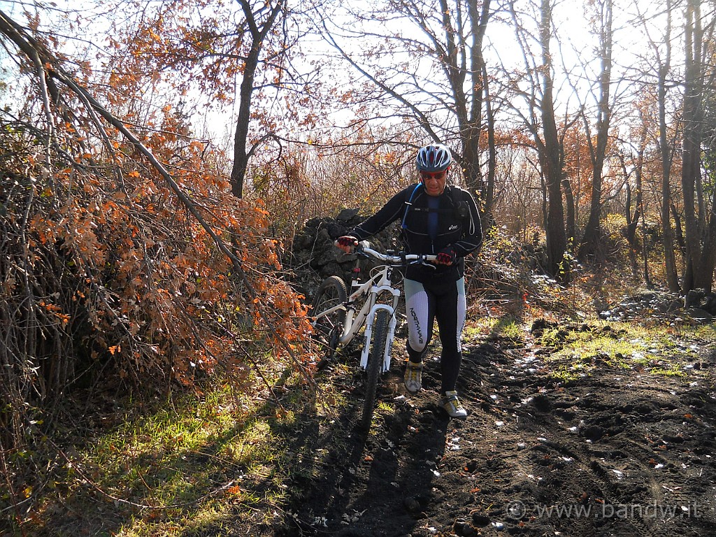 DSCN3399.JPG - Un passaggio impervio tra i rovi