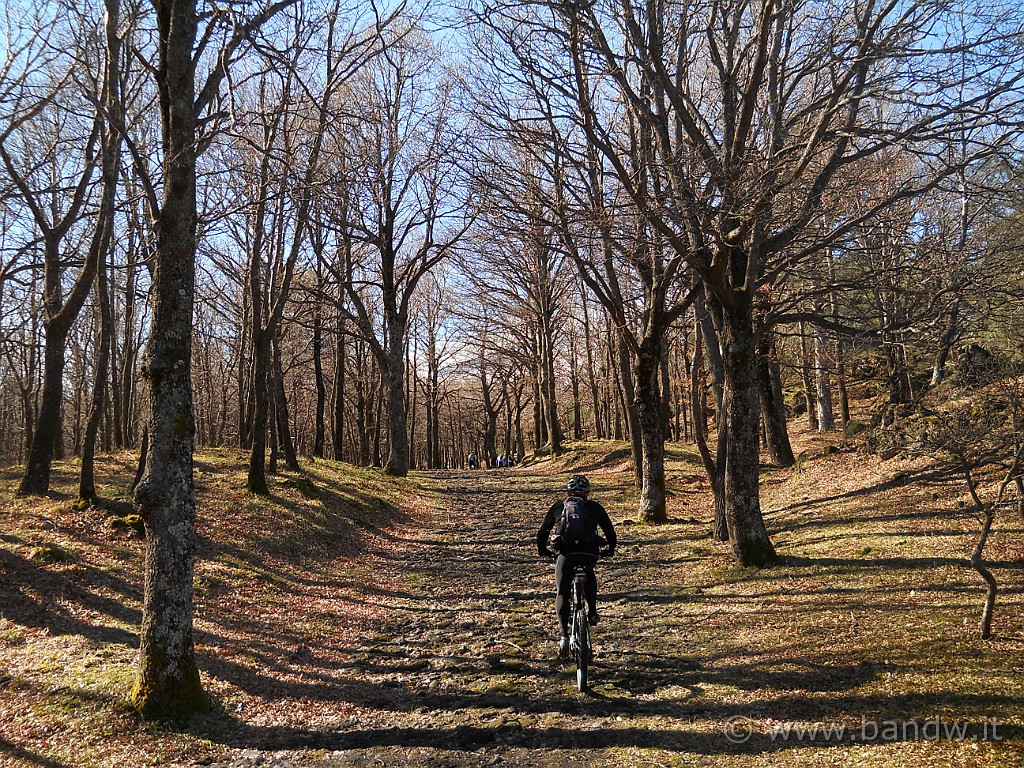 DSCN3465.JPG - " Noi fotografi" stiamo sempre a rincorrere il gruppo :-))))))))))))))))))))