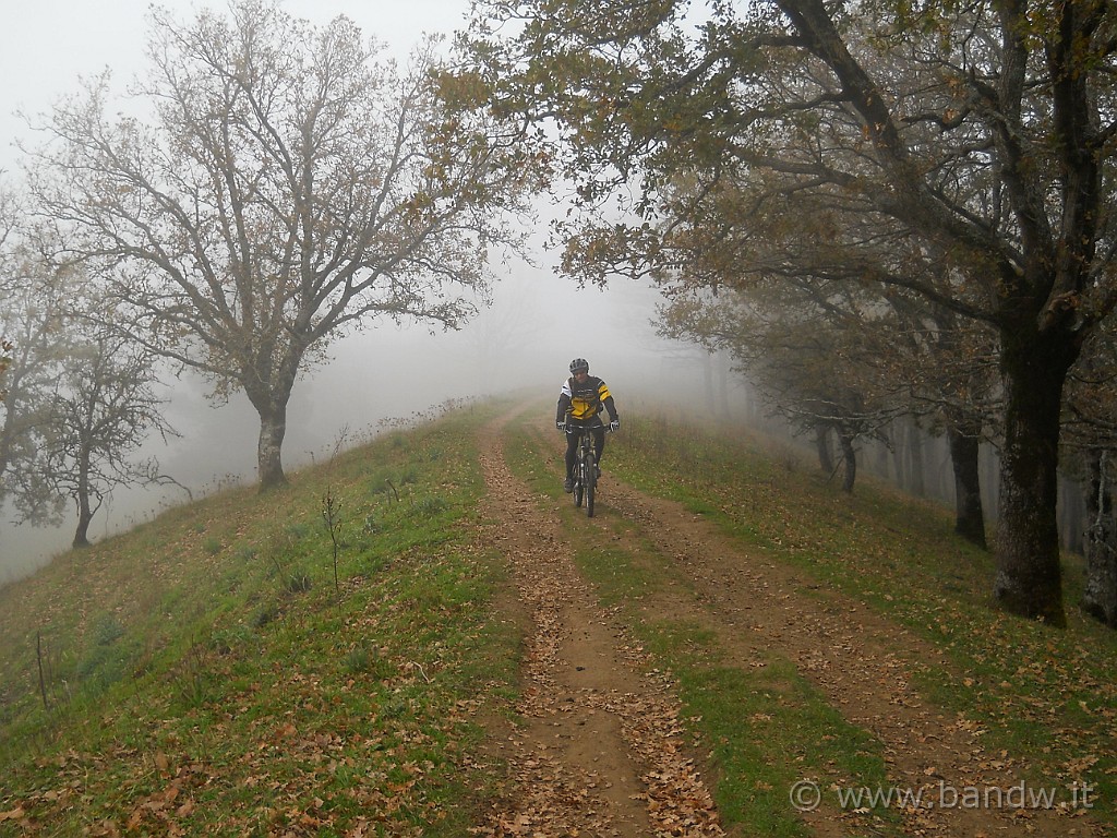 DSCN2226.JPG - Il tracciato che scorre in cima alle montagne