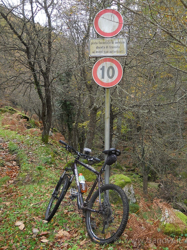 DSCN2251.JPG - Dopo essere arrivati a valle, a quota 927 mt., iniziamo a prepararci per la salita. Qui la segnaletica stradale !?!? ci avverte di non superare assolutamente i limiti di velocità :o), pazienza, li rispetteremo :-))