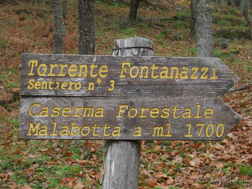 DSCN2254.JPG - Adesso ci aspettano "solo" 1700 mt di salita per arrivare alla Caserma della forestale