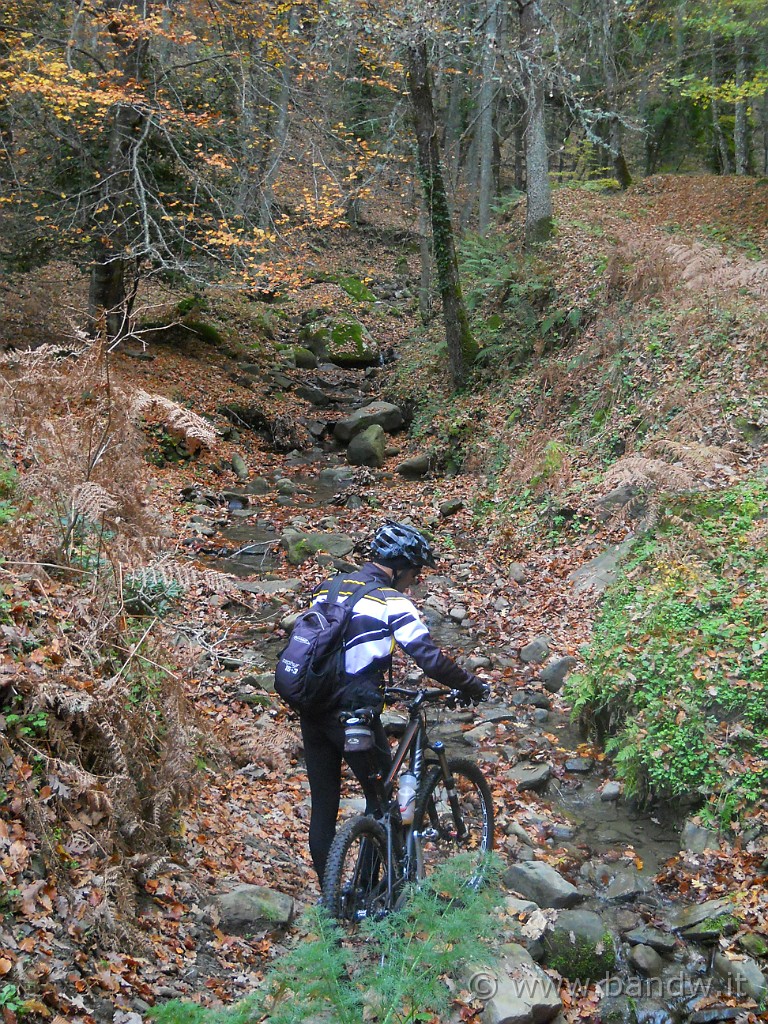 DSCN2259.JPG - .....guadiamo un piccolo torrente