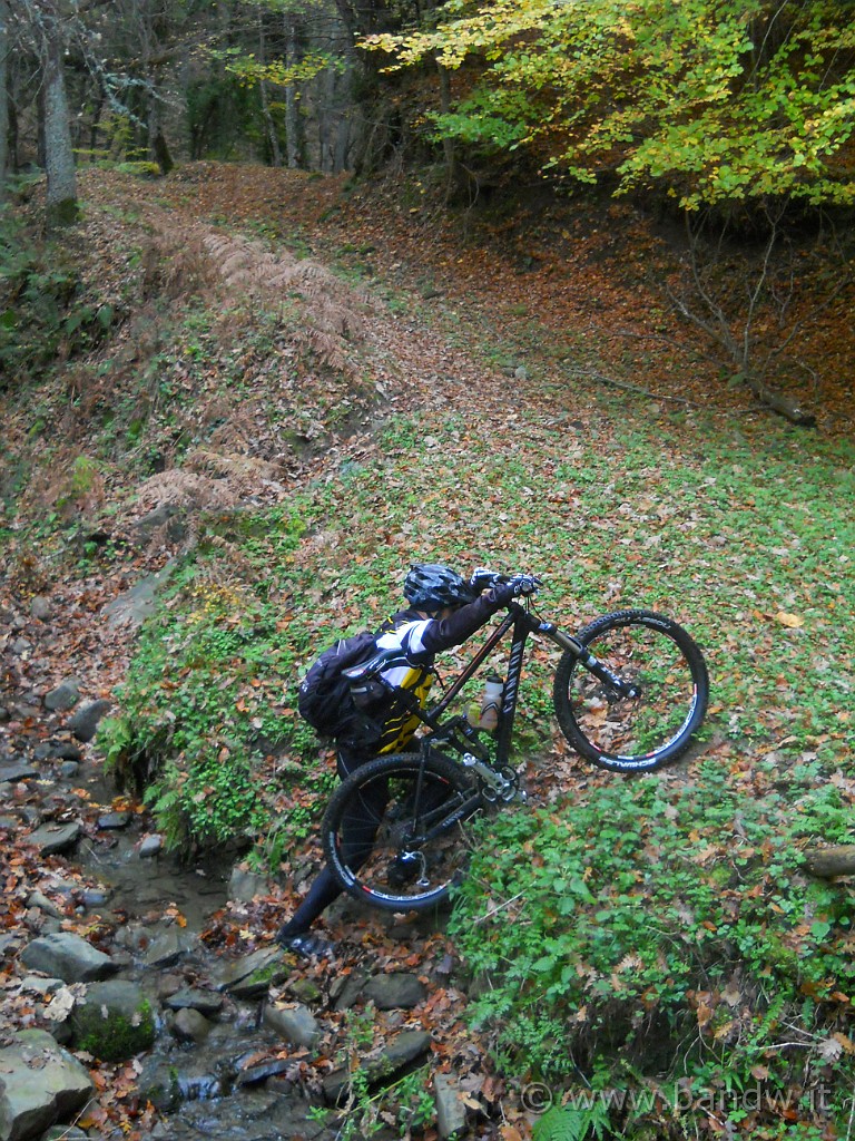 DSCN2260.JPG - Meno male che la sua Canyon è leggera come una piuma