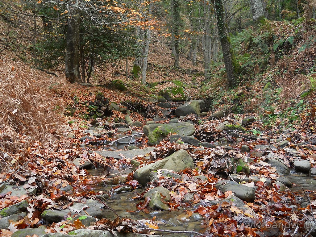 DSCN2265.JPG - Mi fermo per immortalare il torrente Licopeti