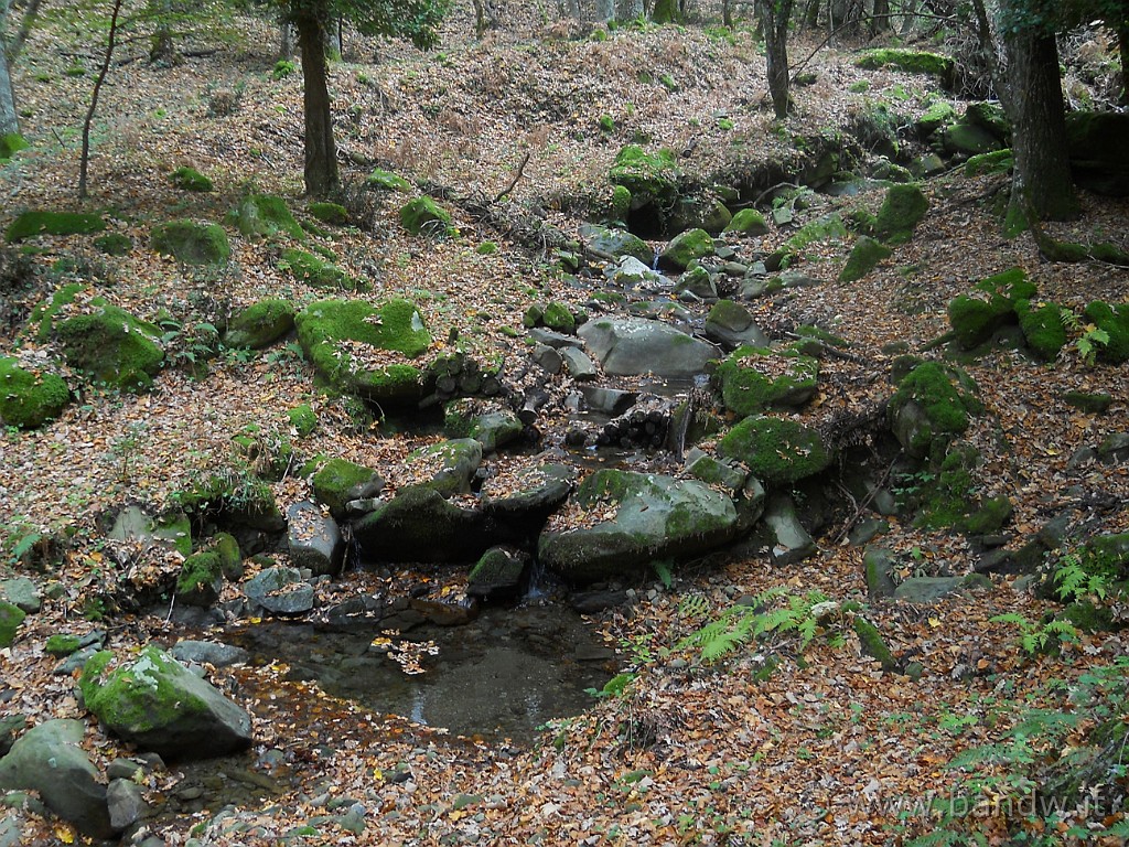 DSCN2270.JPG - Sosta d'obbligo per foto al torrente