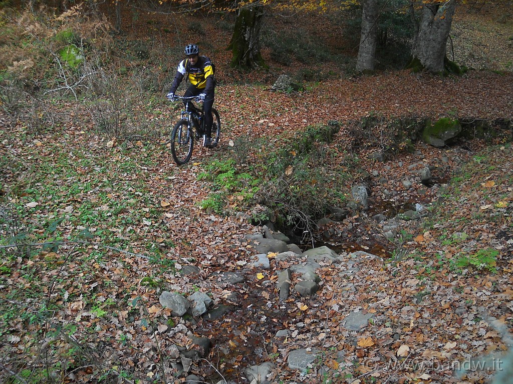 DSCN2274.JPG - Riguadiamo nuovamente il torrente in un punto, stavolta pedalabile, molto più facile