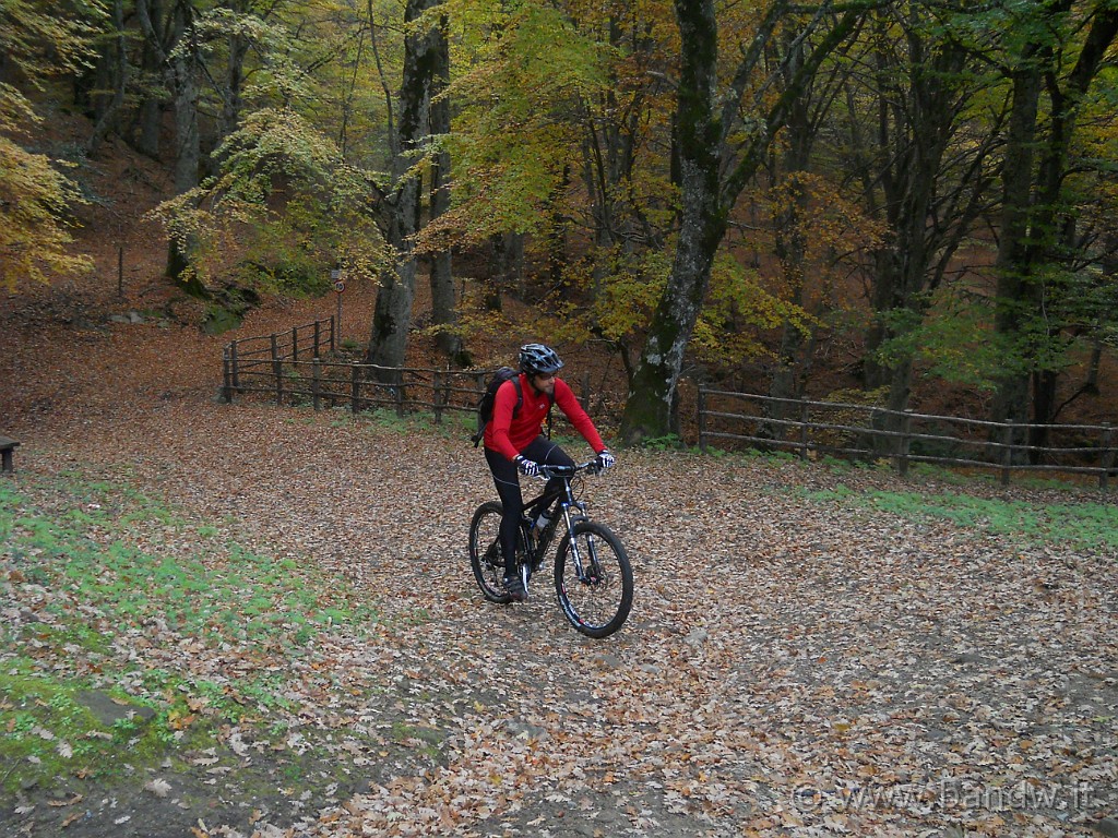 DSCN2290.JPG - Arriviamo nei pressi della caserma della forestale Malabotta....