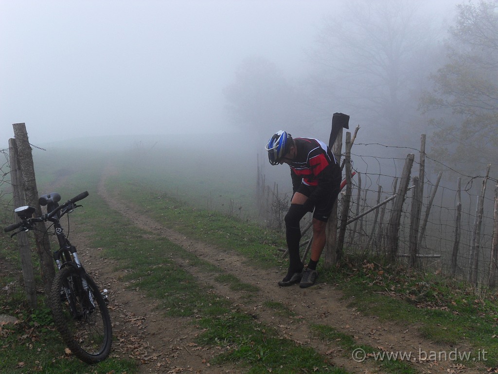 SDC10178.JPG - .........vestirci un pò pò più pesanti